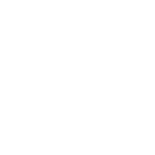 Allied Digital Invoice